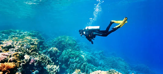 Tips for planning your first scuba diving vacation